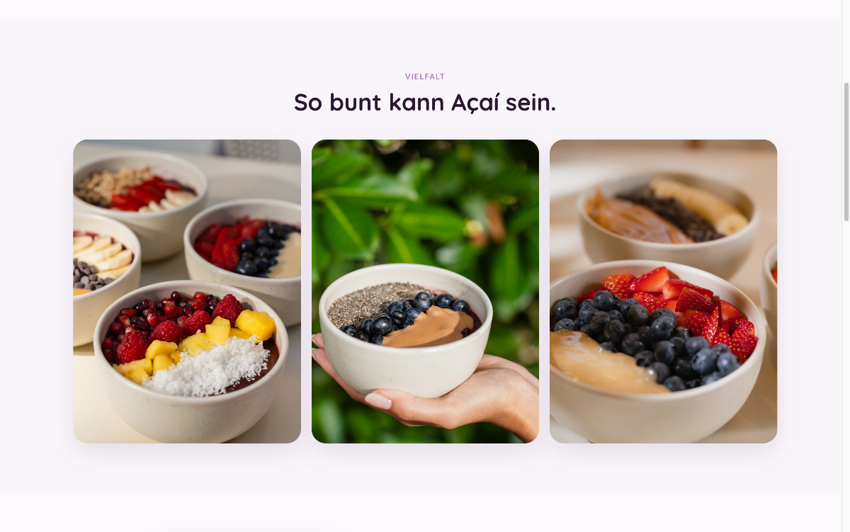 acaihouse.de: Abschluss der Startseite